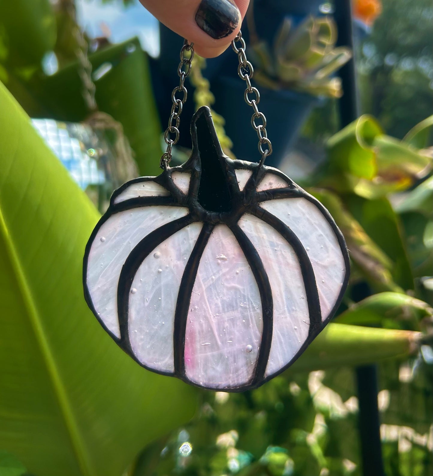 Mini Pumpkins