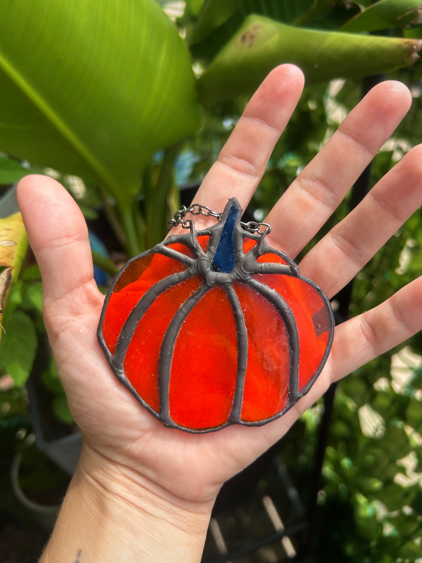 Mini Pumpkins