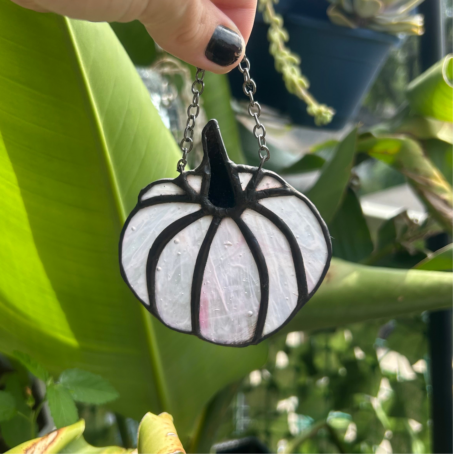 Mini Pumpkins