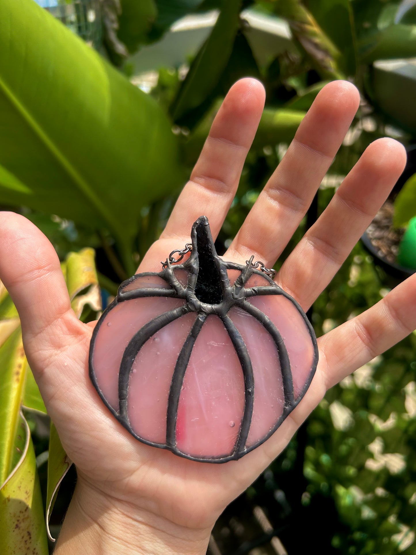 Mini Pumpkins