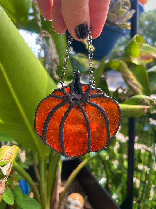Mini Pumpkins